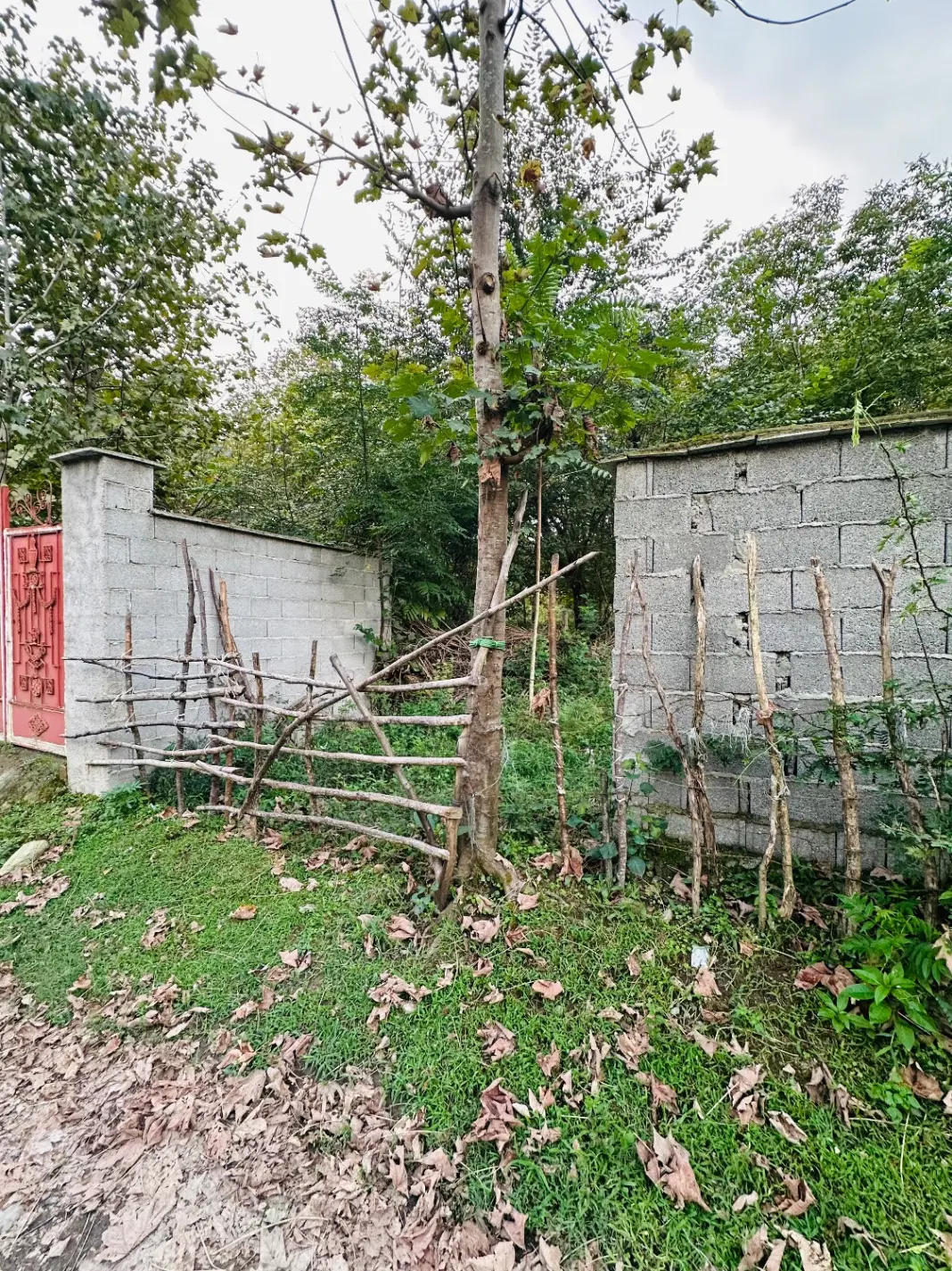۶۰۰متر با بر ۲۵متری