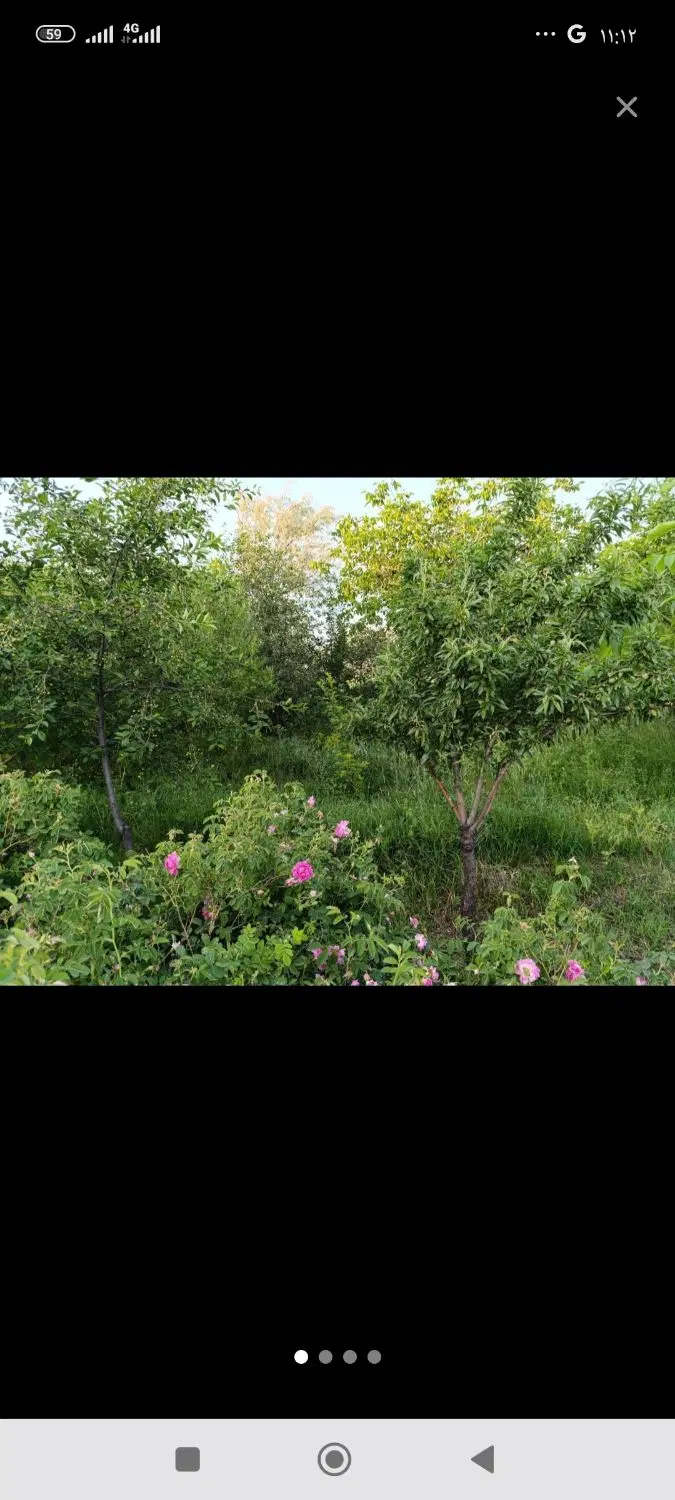 فروش باغ