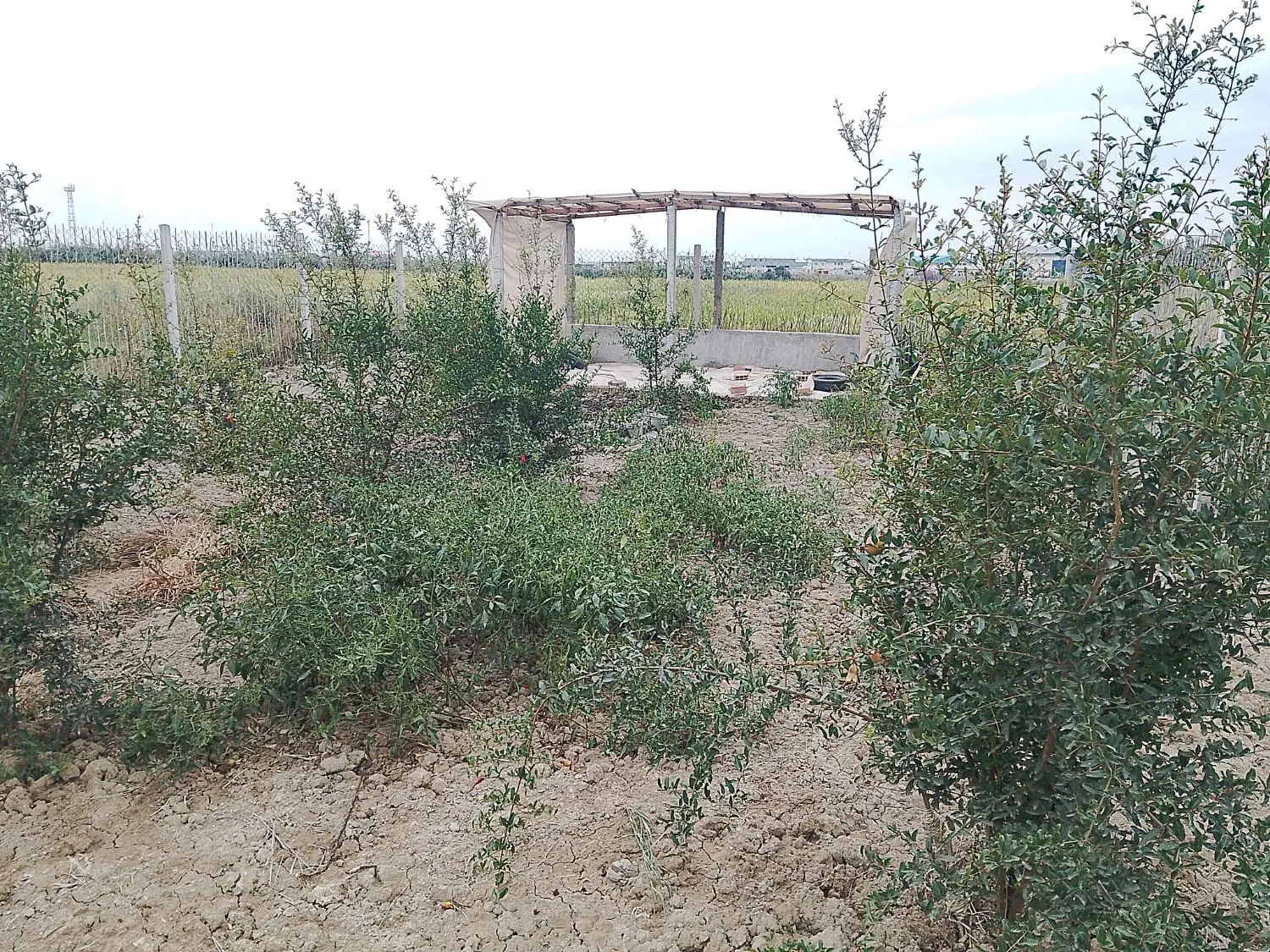 زمین خوش قواره فرودگاه