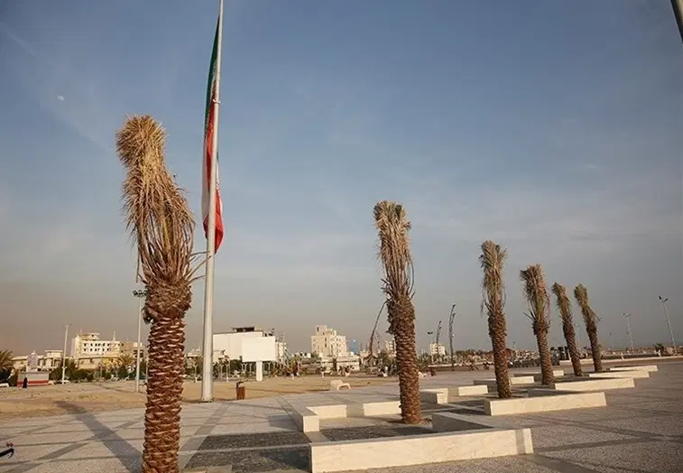زمین پشت تجاری مروارید۱