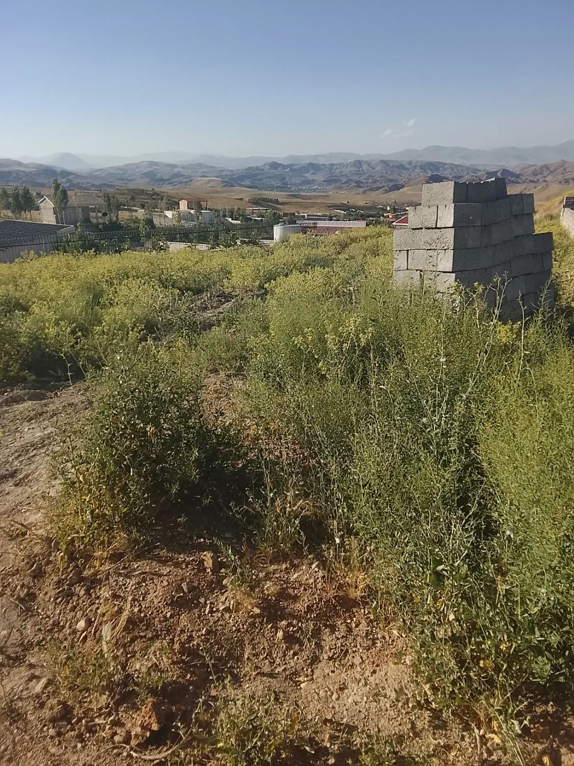 زمین خالی و باغ در روستای زین آباد