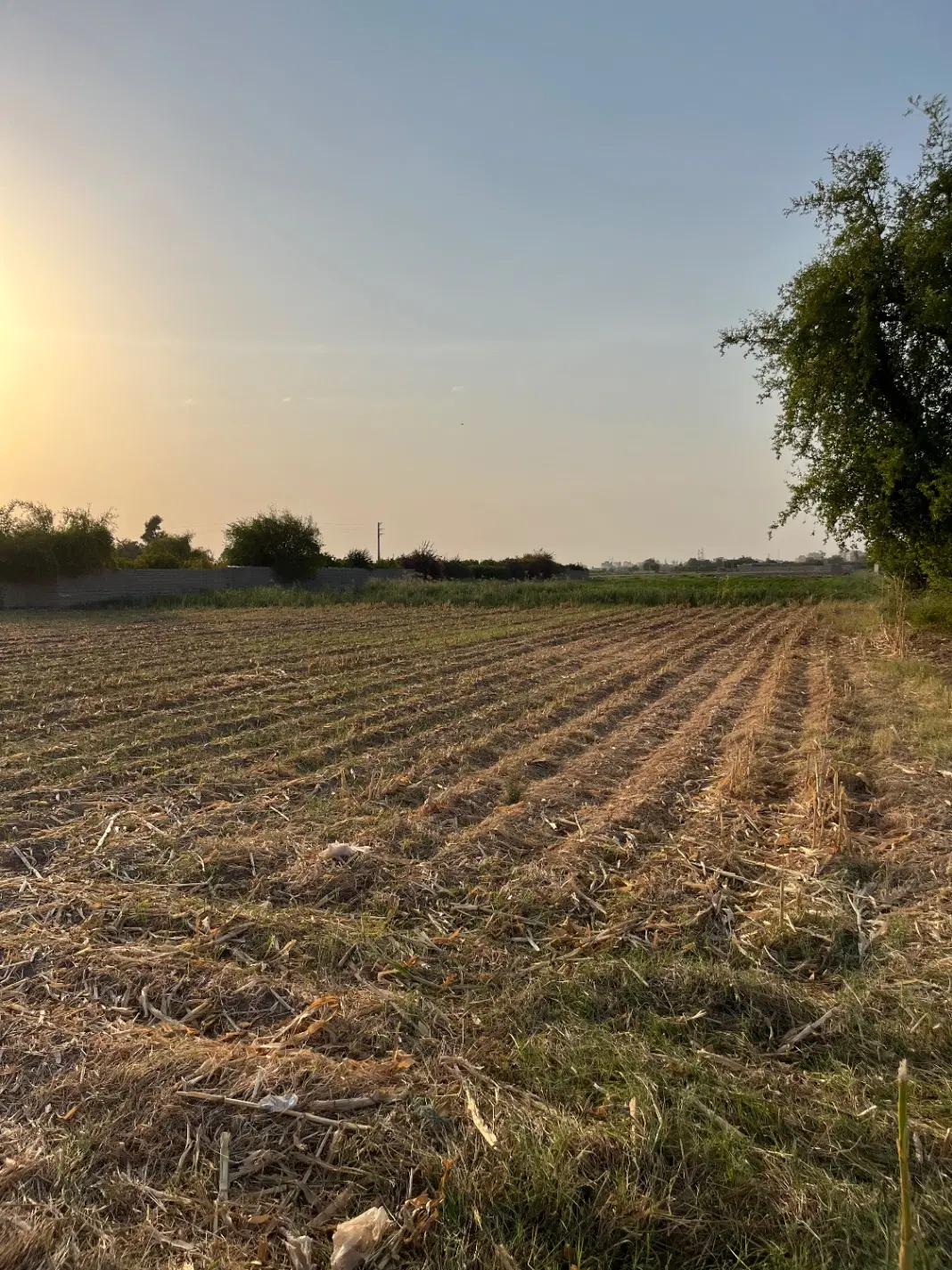 فروش ۱۰۰۰متر زمین کشاورزی جاده خوشبختی