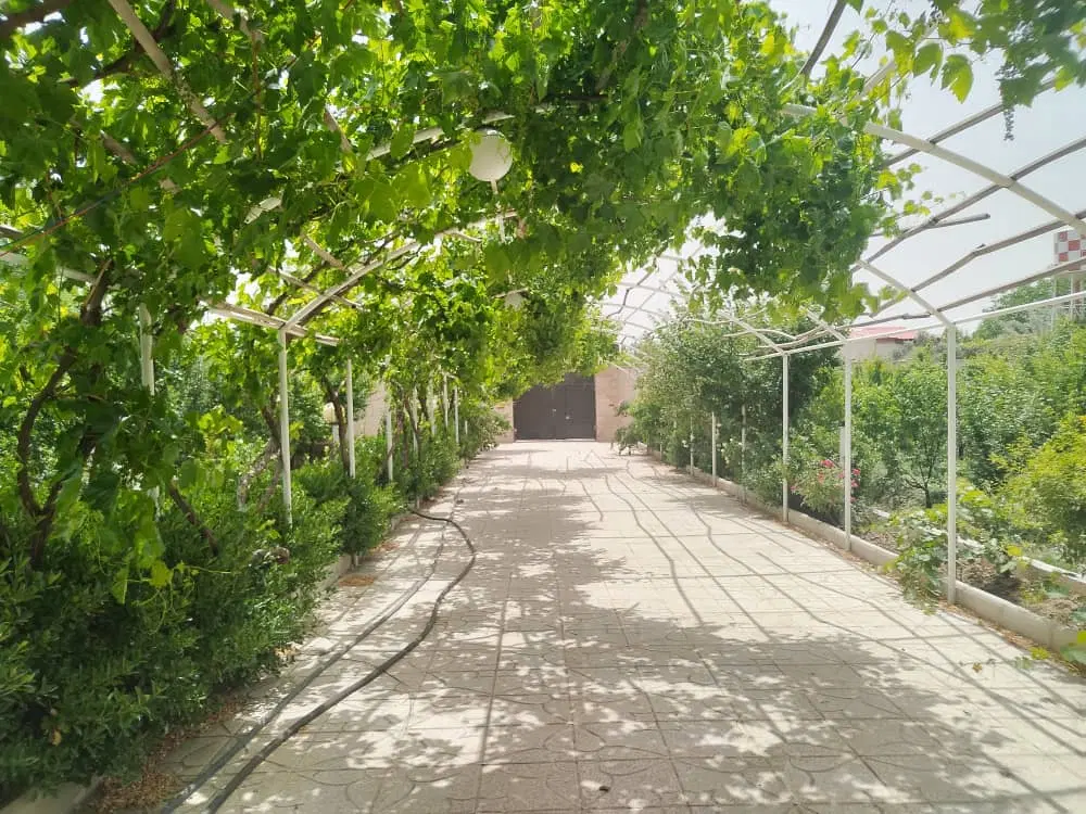 رهن و اجاره