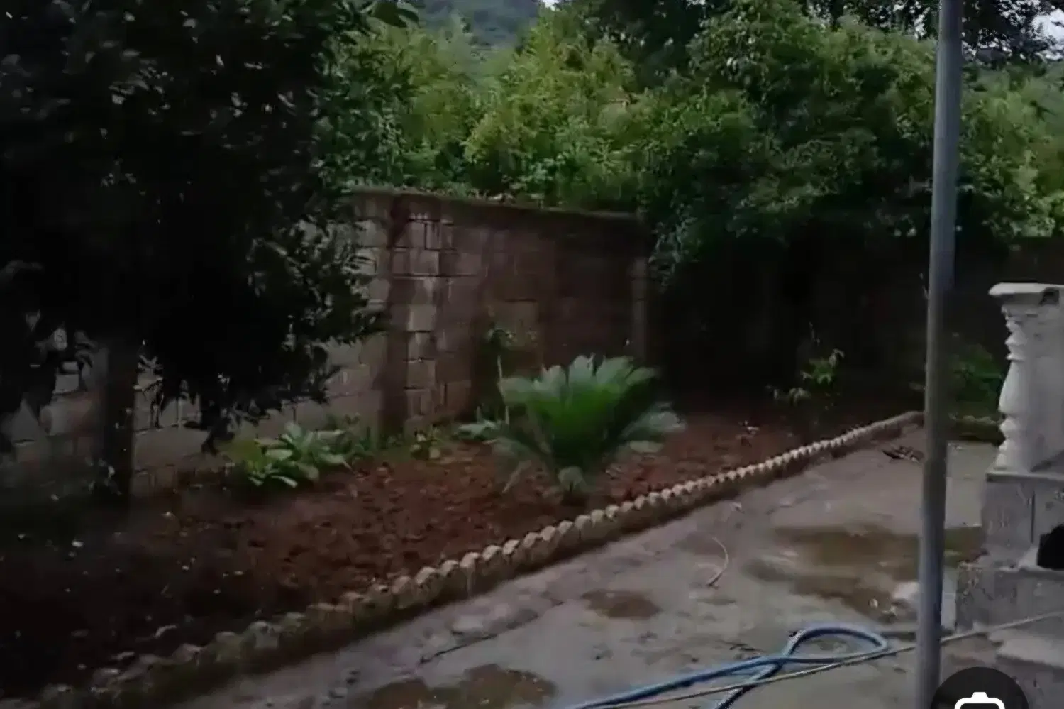 ۲۲۰ متر تک برگ سند