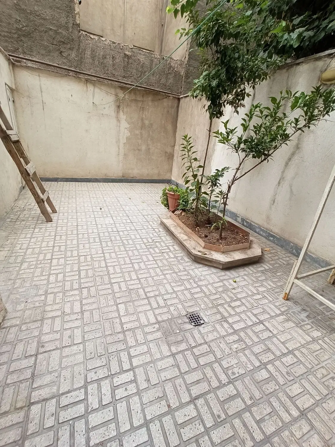 اجاره طبقه همکف حیاط در اختیار