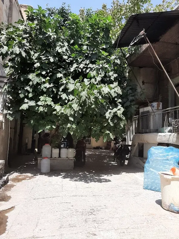 اتاق در خانه ویلایی نزدیک بازار تهران بزرگط آقایان