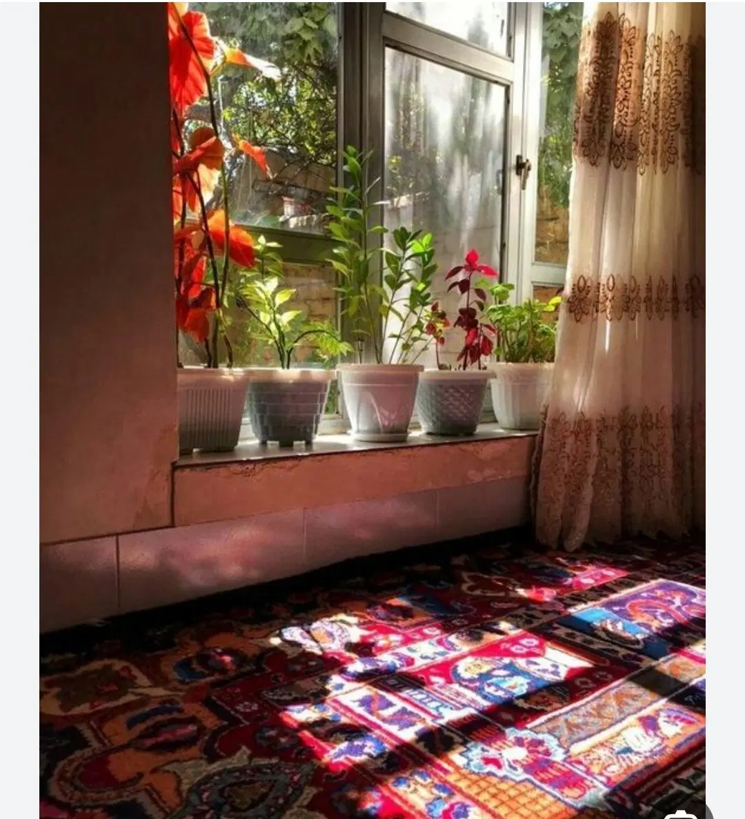 خانه مجانی برای استراحت زوار اربعین