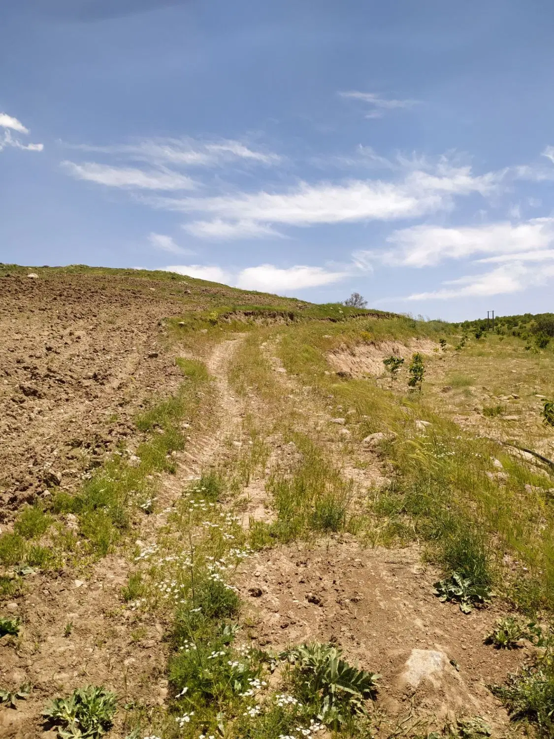 فروش زمین زراعی