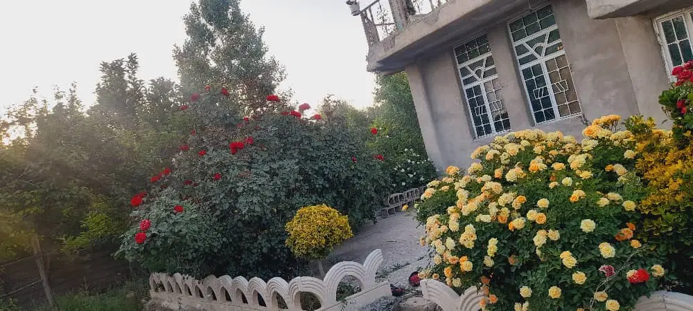 اجاره همکف چنارستان علیا