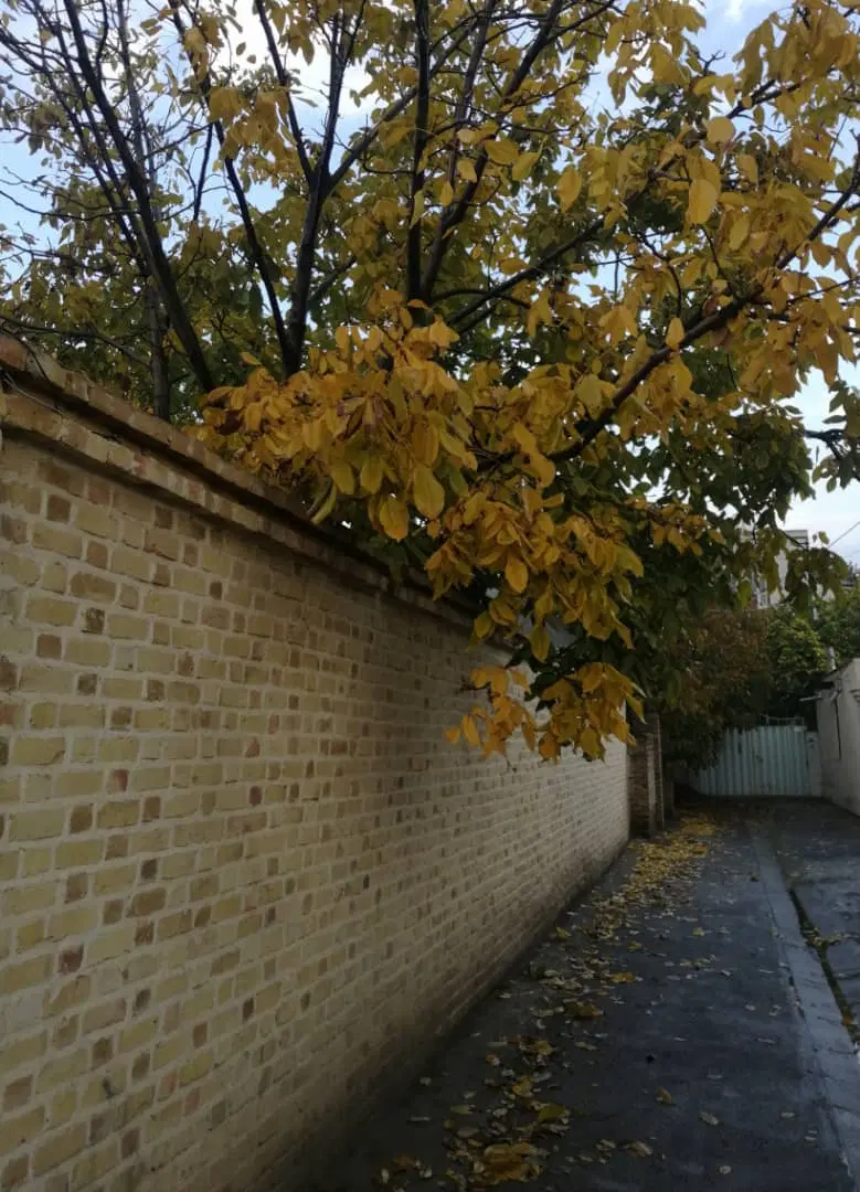 ملک ویلایی