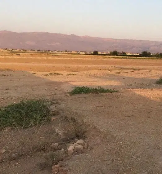 زمین خانه باغ