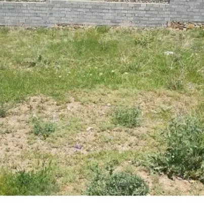 فروش زمین