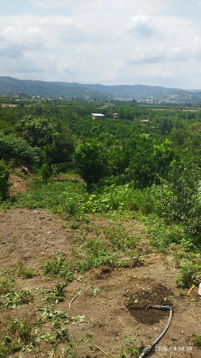 فروش زمین در ویو عالی