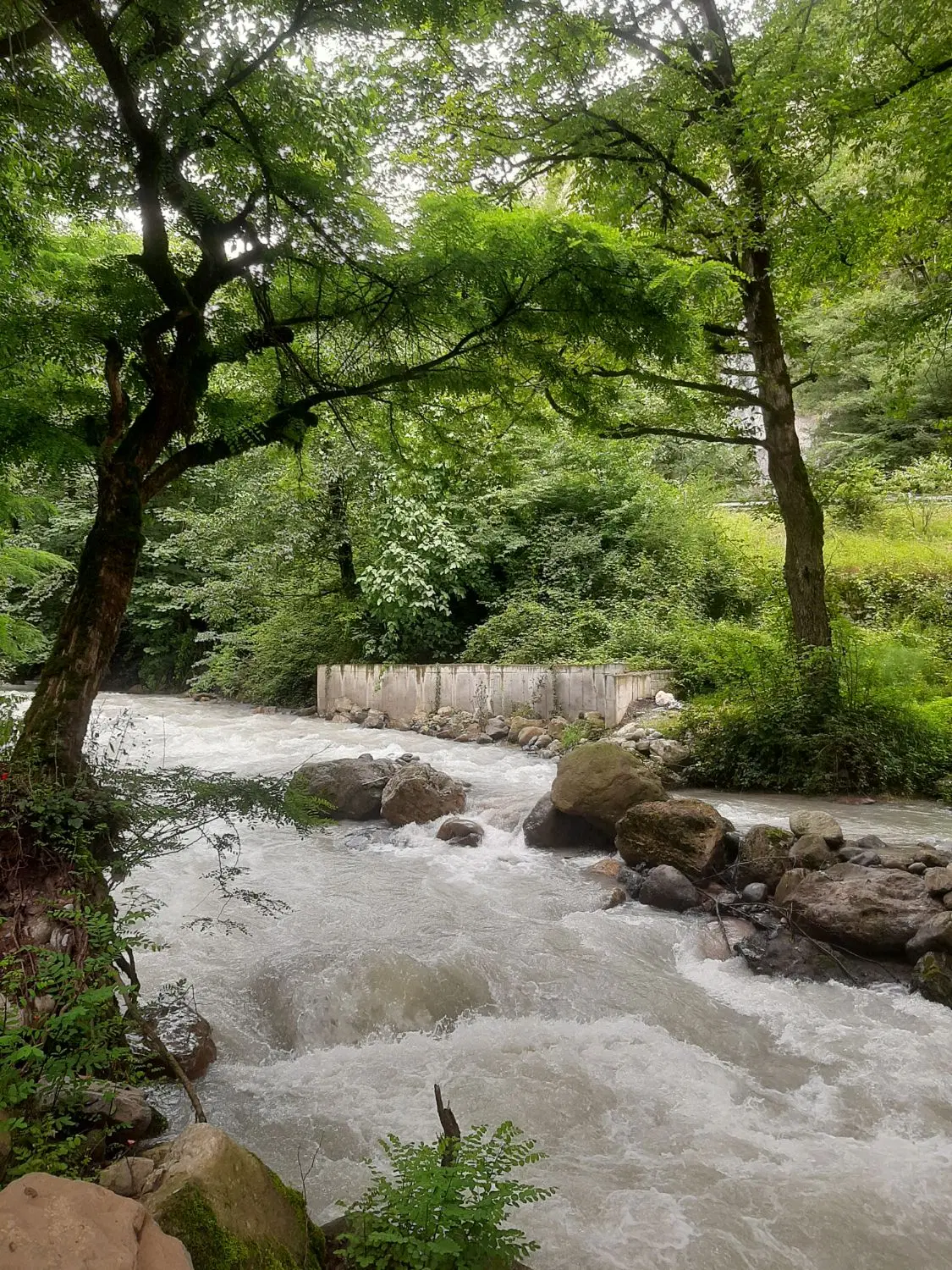 ۱۰قصب زمین در سادوی جیرفت