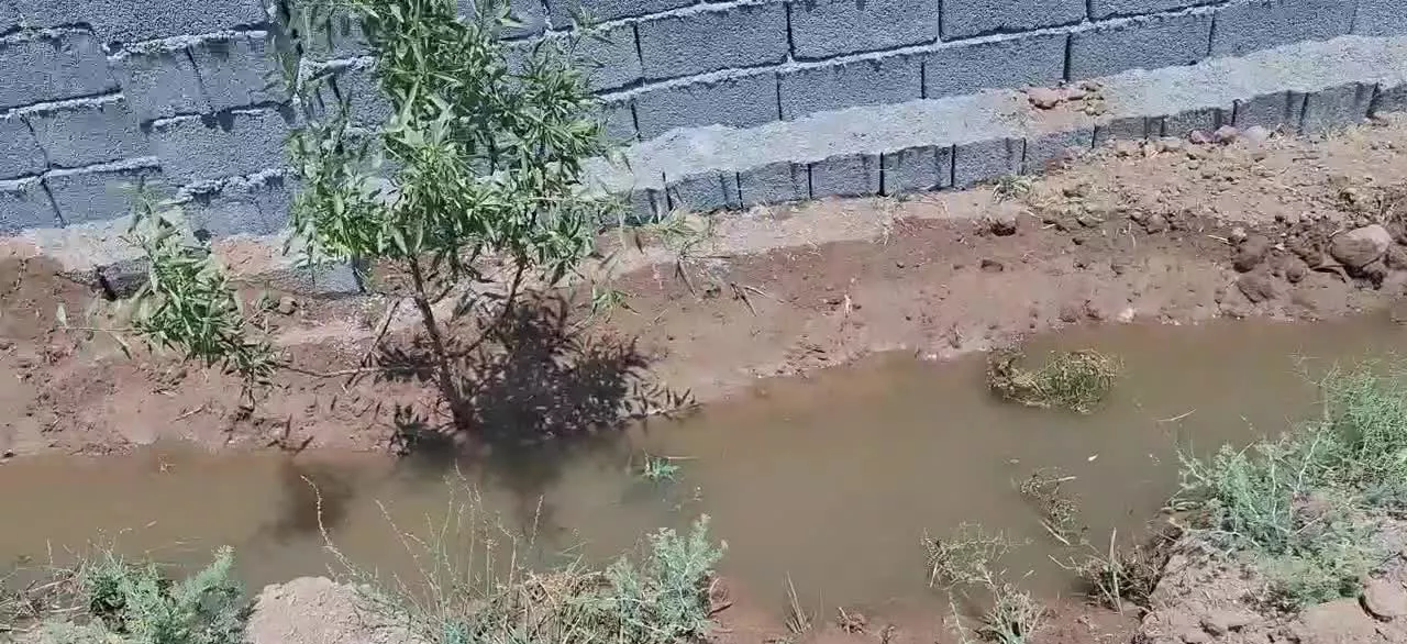باغچه چهاردیواری فوری