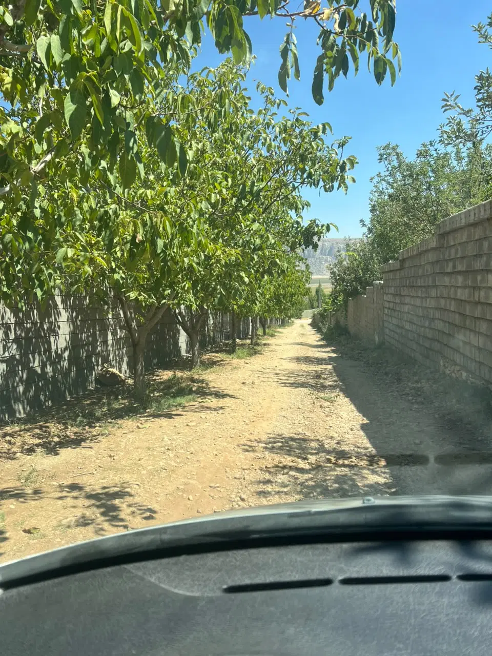 فروش باغ و باغچه دشت ارژن