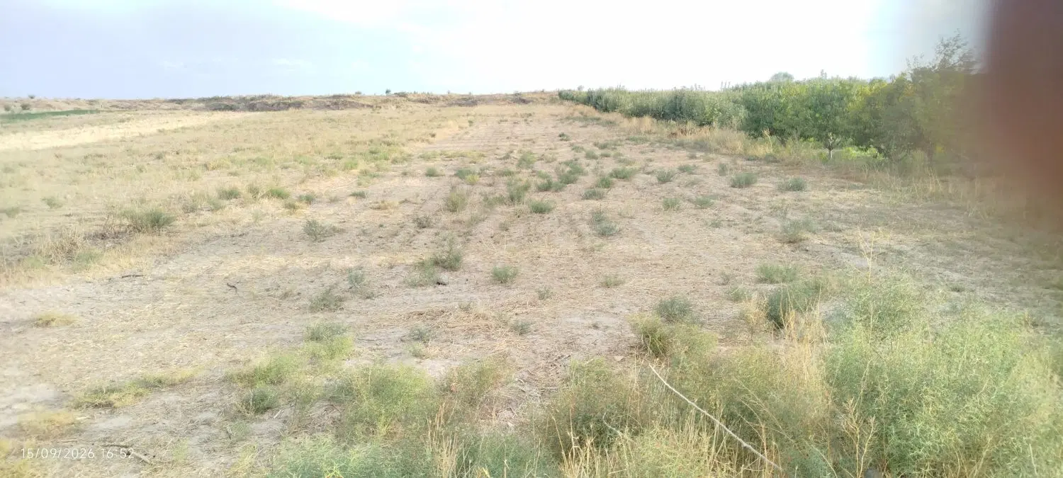 زمین فروشی