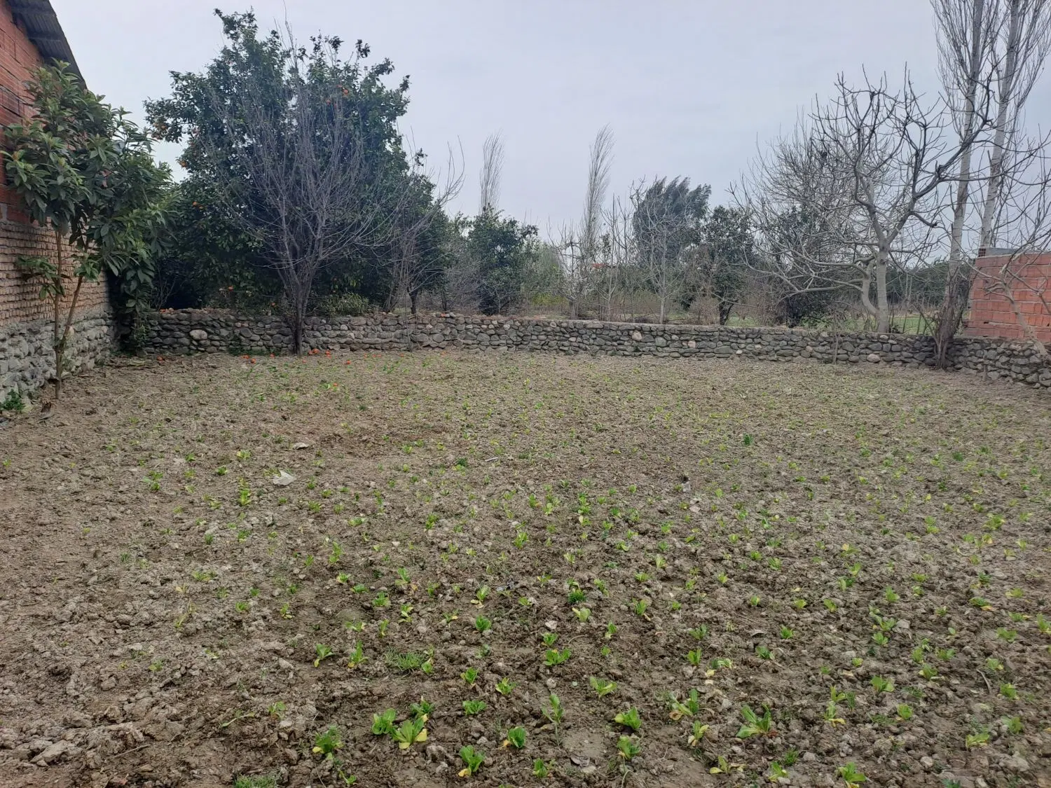 زمین مسکونی