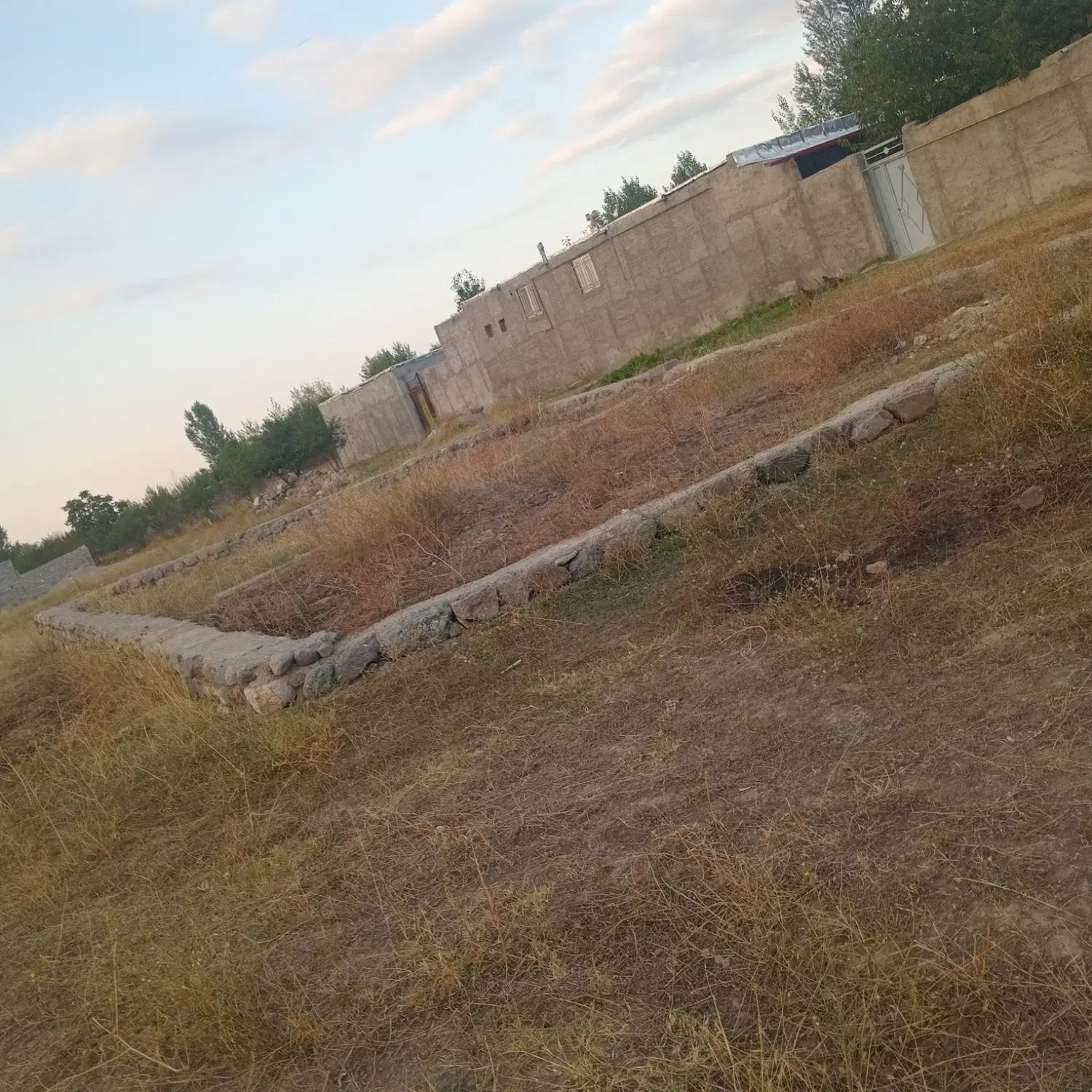 زمین
