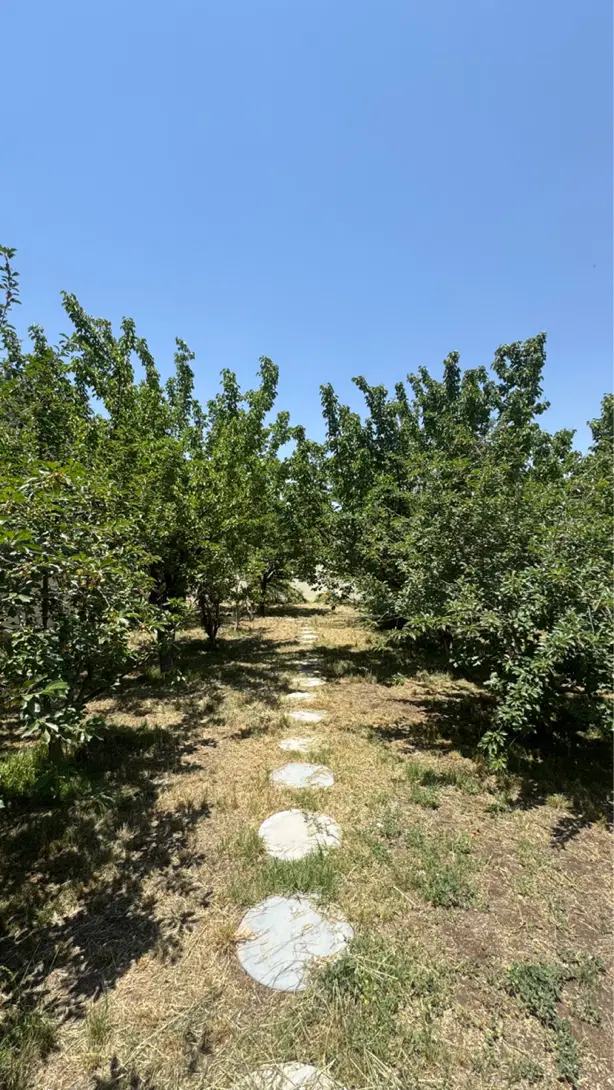 ۵۲۰ متر باغچه کردان کوهسار ولیان