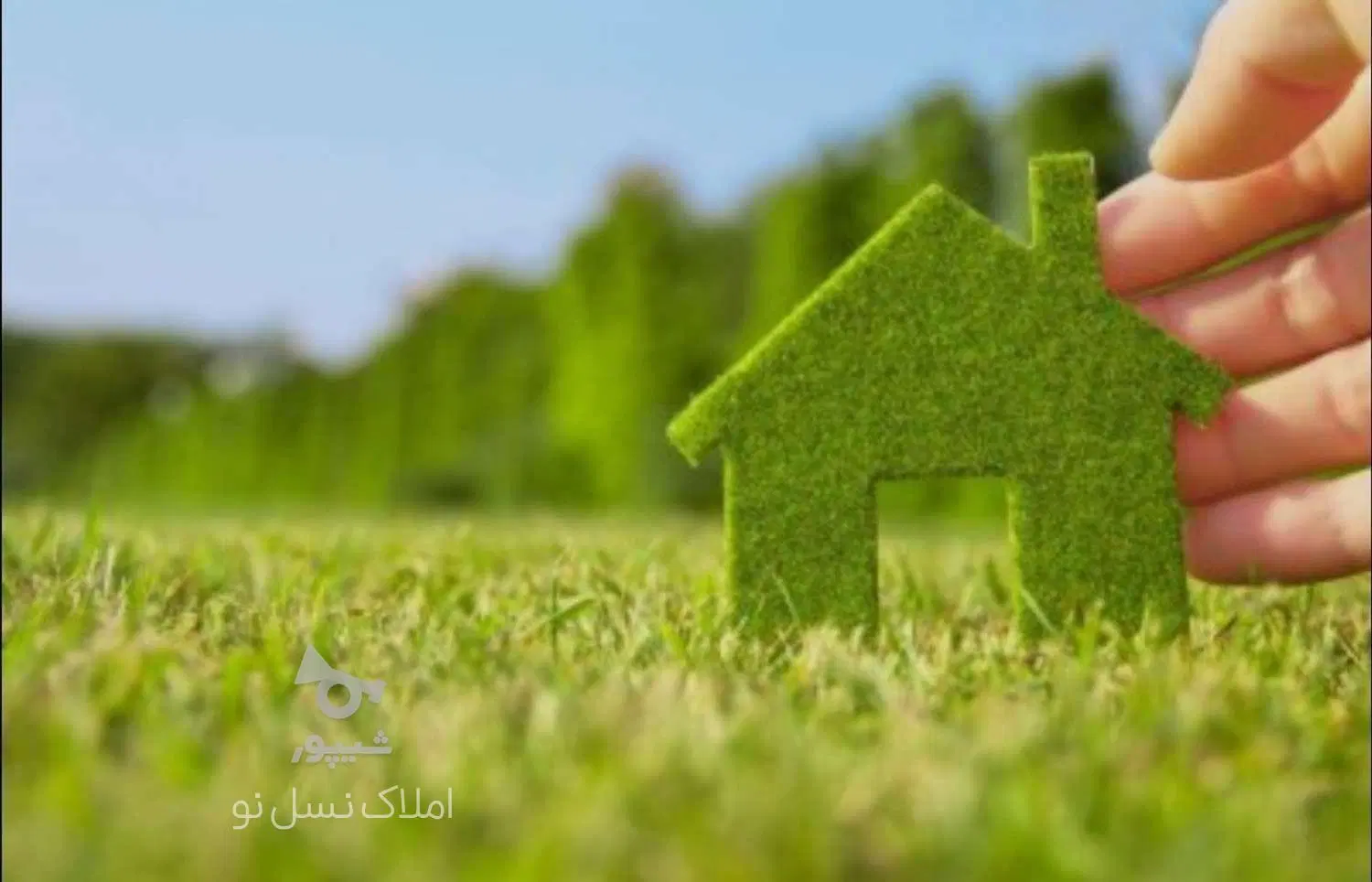 مشارکت صیاد ۳۸