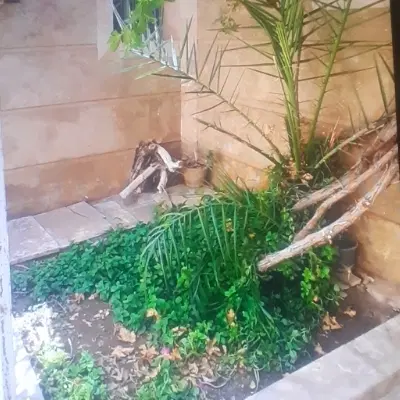 اجاره منزل