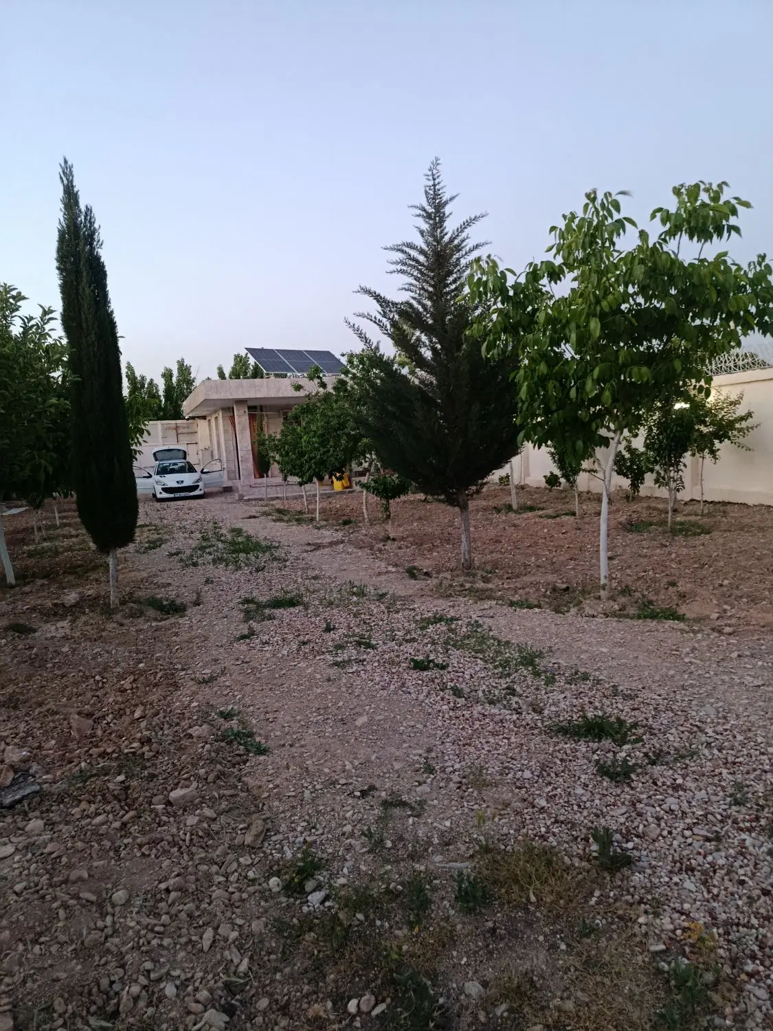 باغ شهری کمربند خانه زنیان پمپ بنزین الماس نور