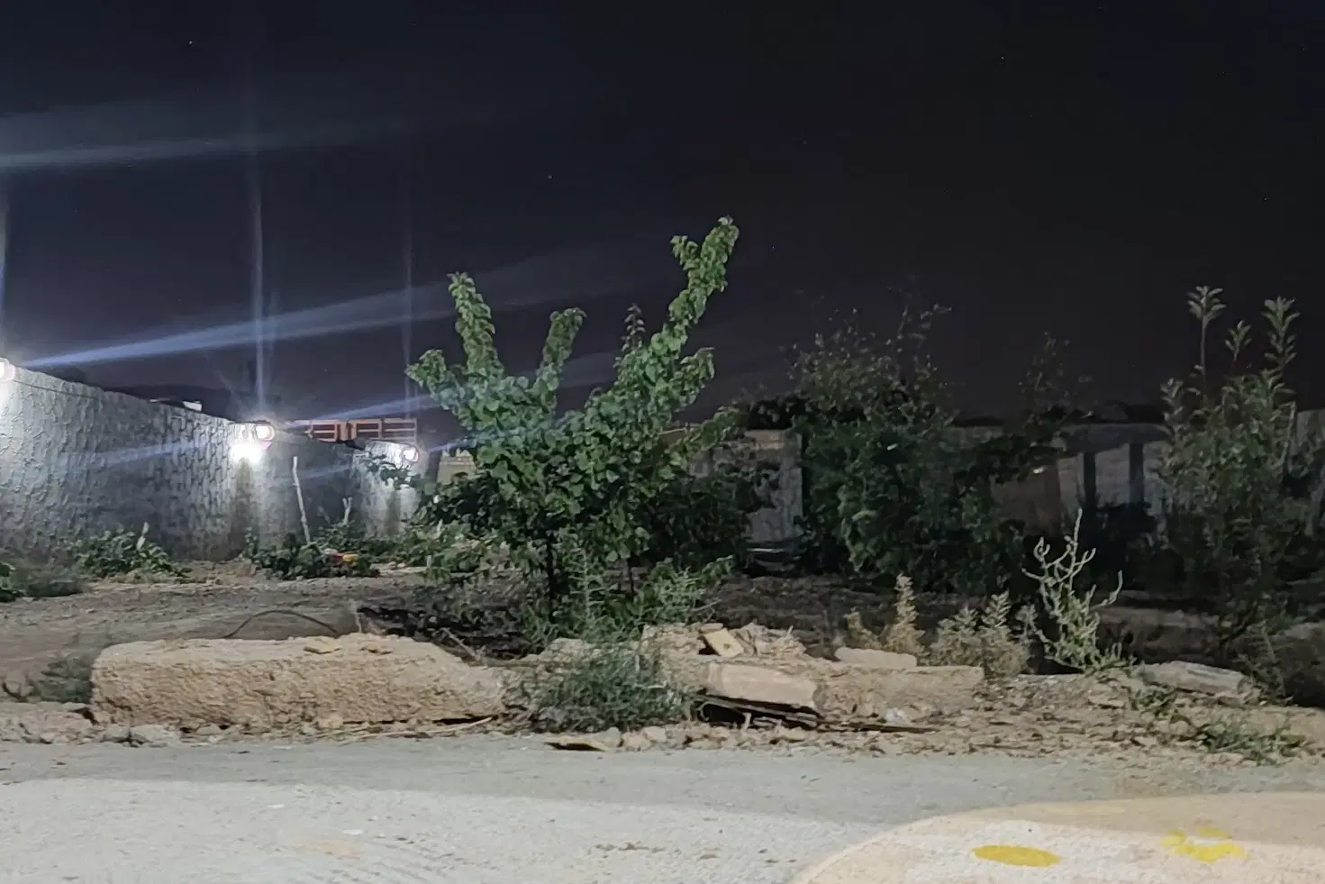 فروش باغ