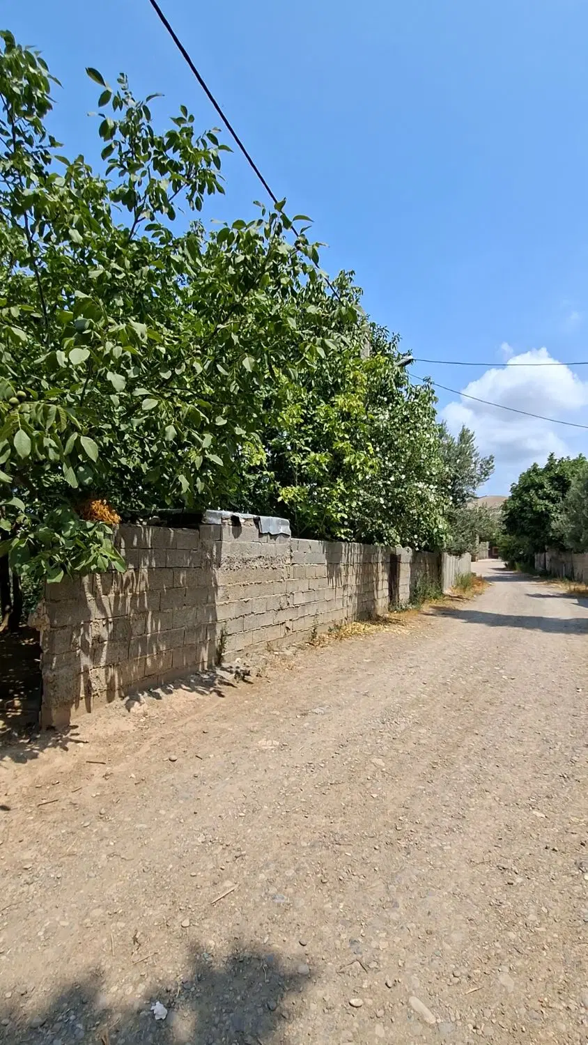 زمین ۳۰۰ متر باغچه مسکونی