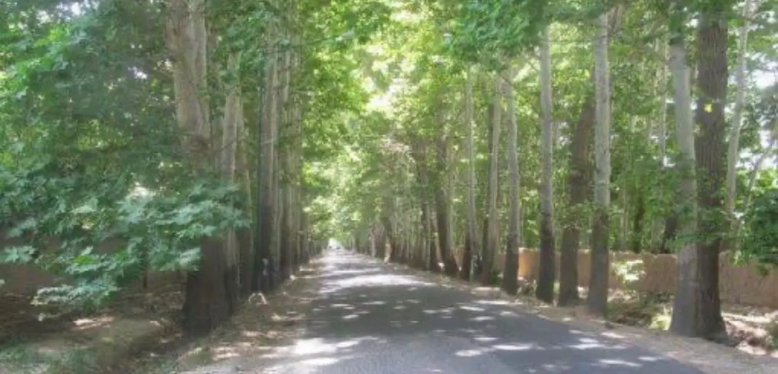 زمین چهار دیواری شده