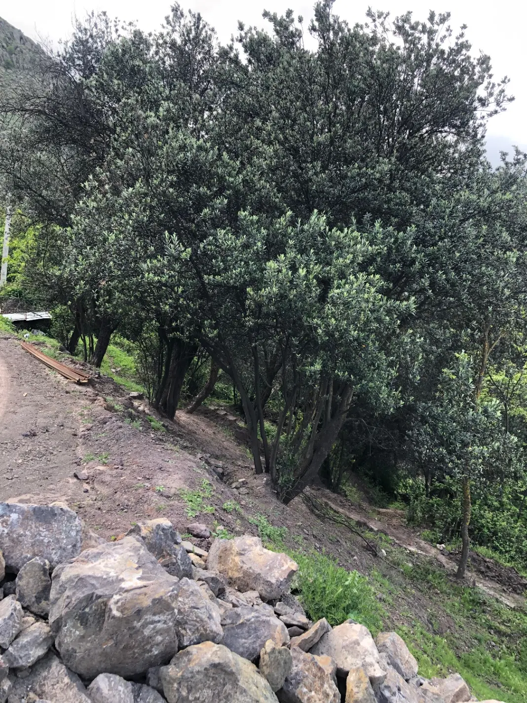 زمین فاز ۳نیروی دریایی