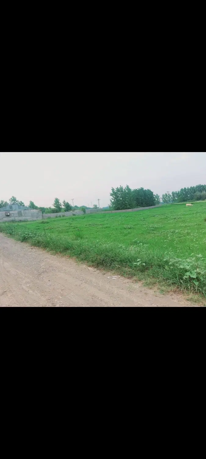 فروش زمین ۱۰۰۰ متری فخب بهارستان