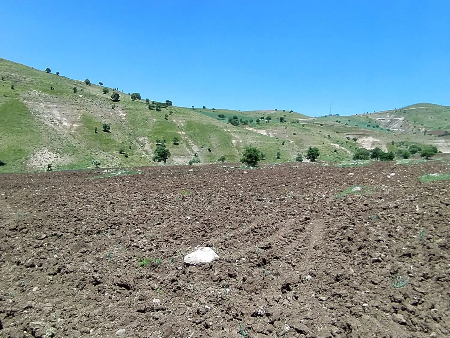 فروش زمین زراعی