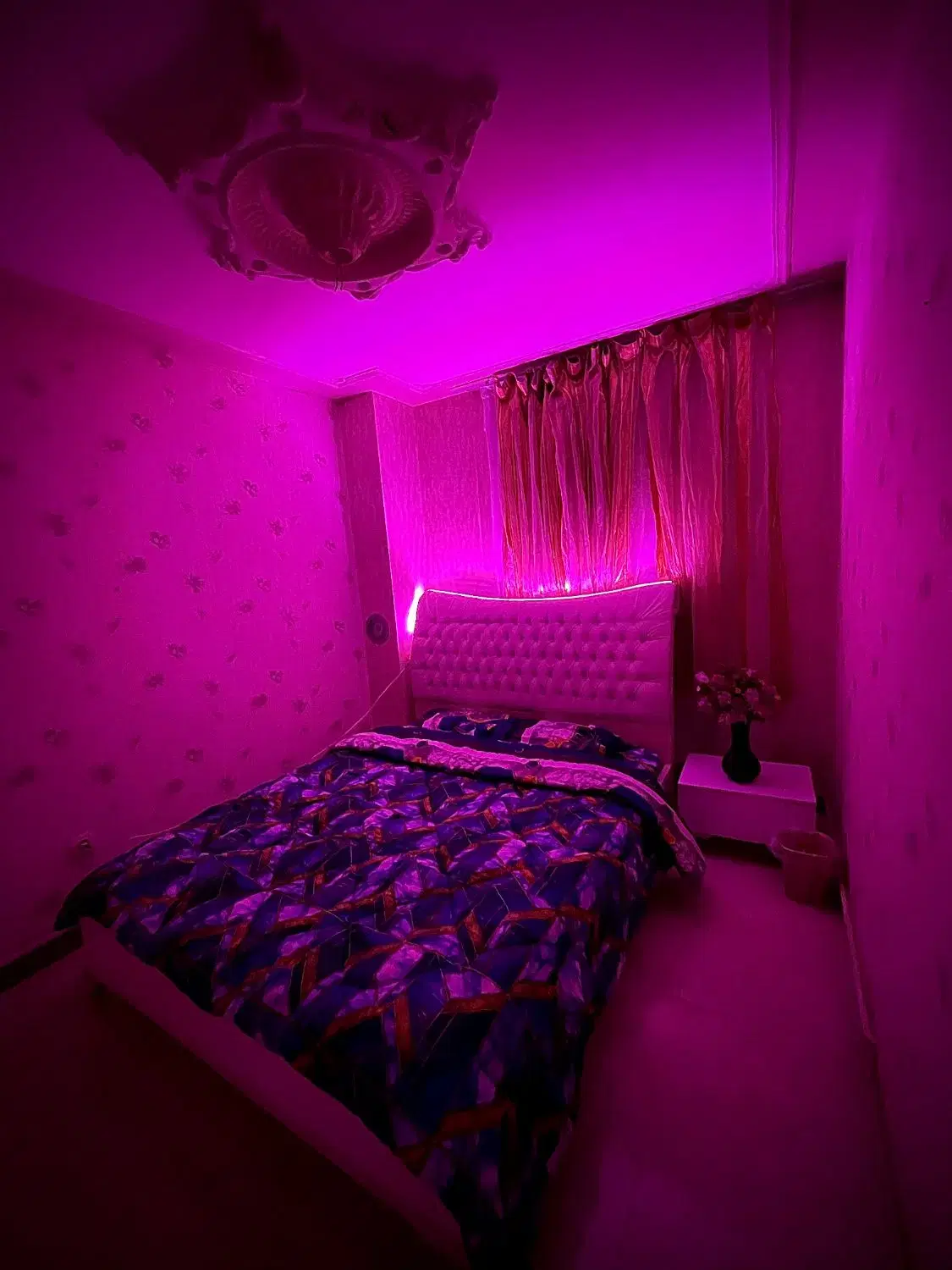 اجاره سوئیت روزانه