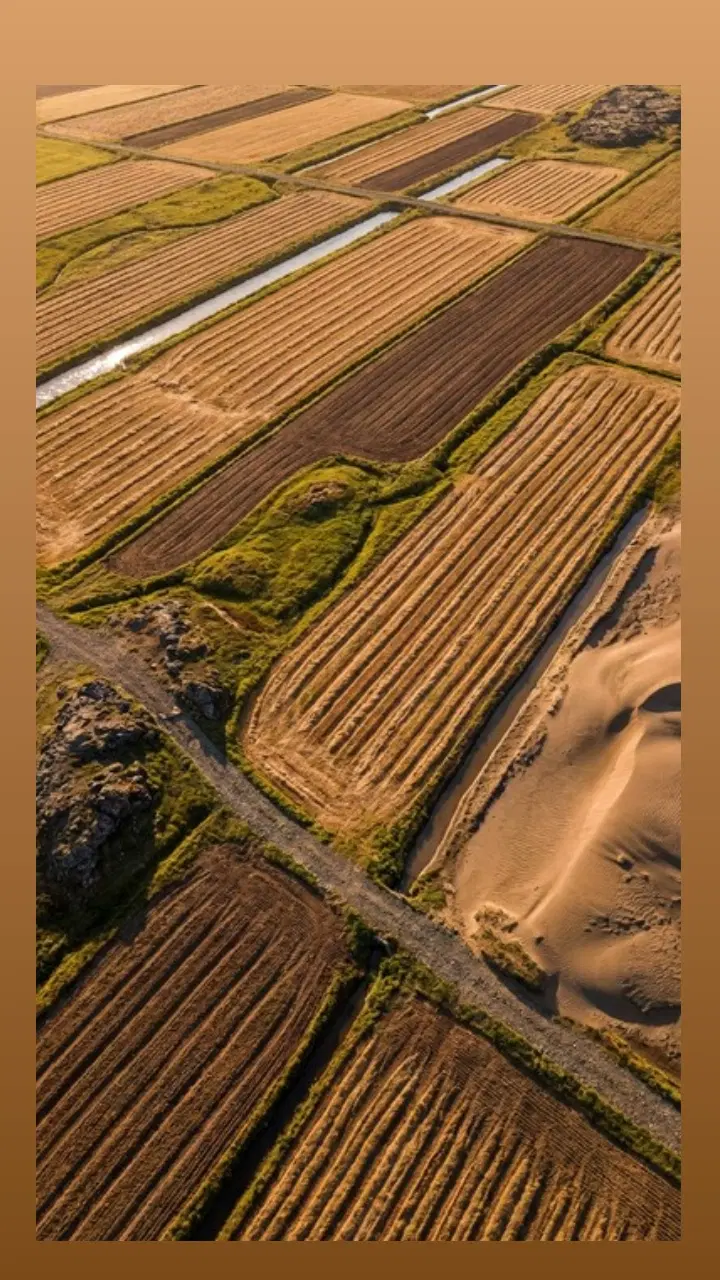 زمین روستا