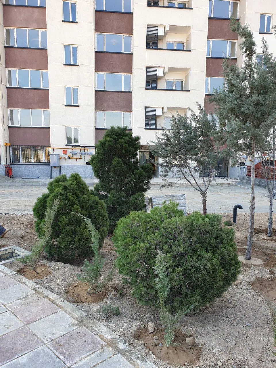 سیمرغ