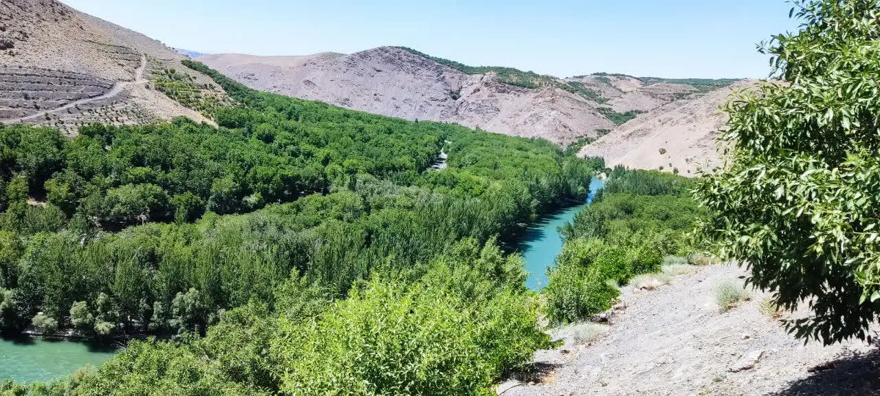 باغ بارده