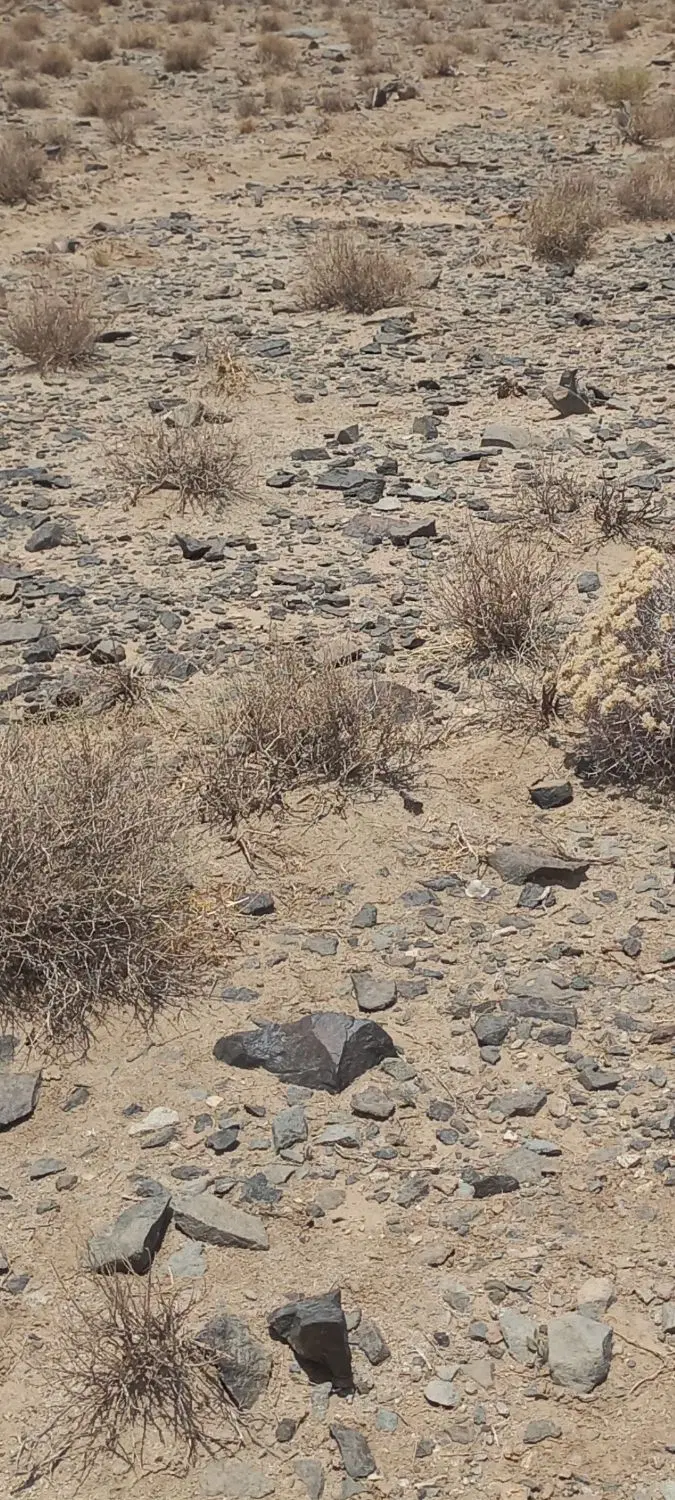 دو قطعه زمین بالای شهرک شاهمراد اباد