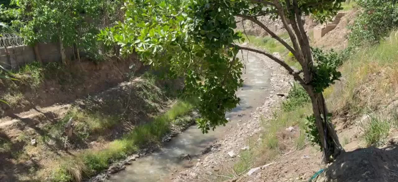 باغچه 620 متر کنار رودخانه بومهن با چشم انداز عالی