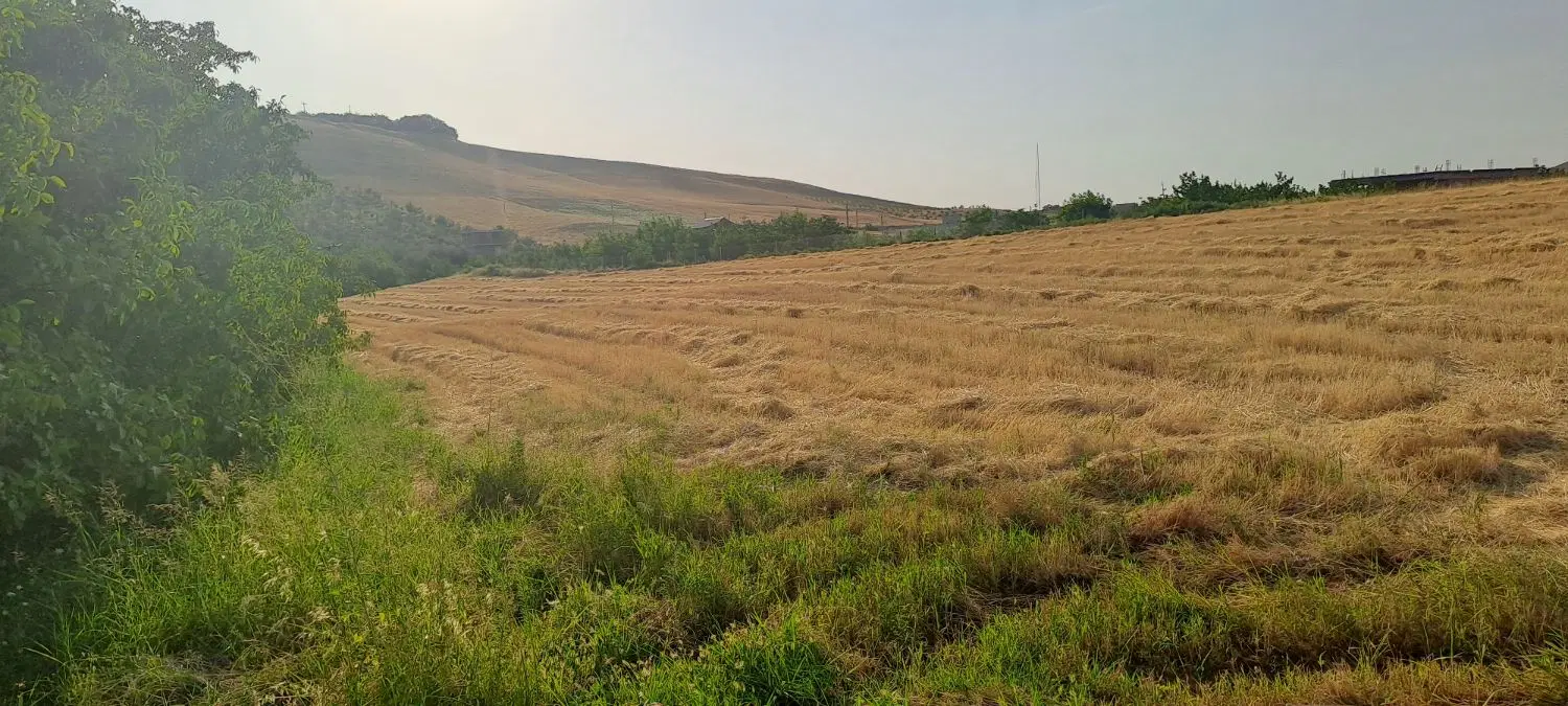 فروش زمین کشاورزی