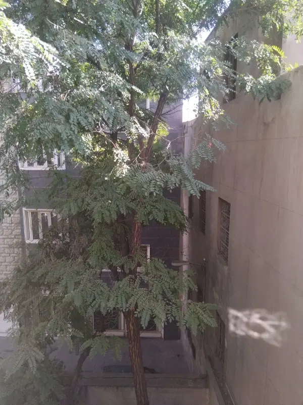 فروش واحد ۶۲متری جامی