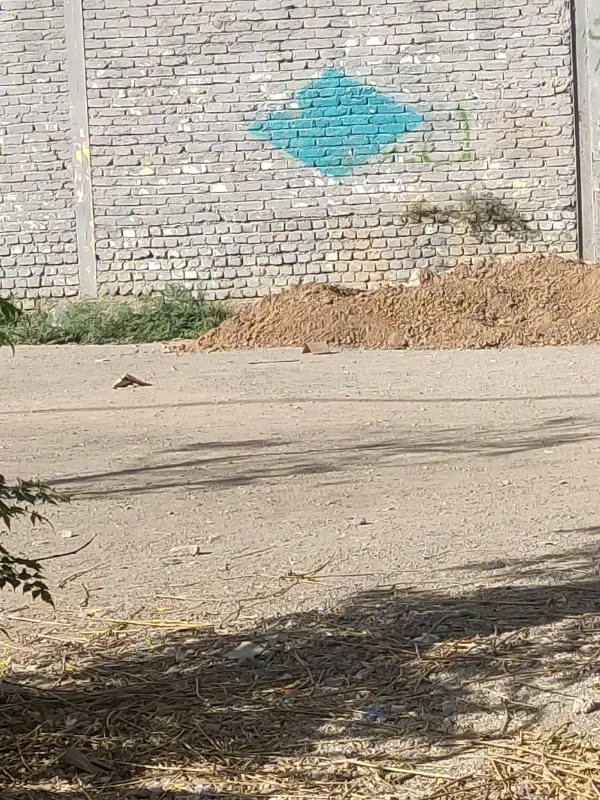 زمین جنوبی پشت شهرداری