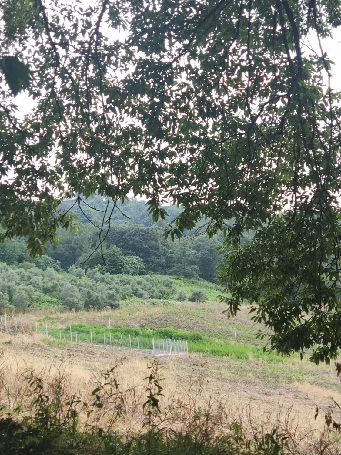 زمین درجاده توشن