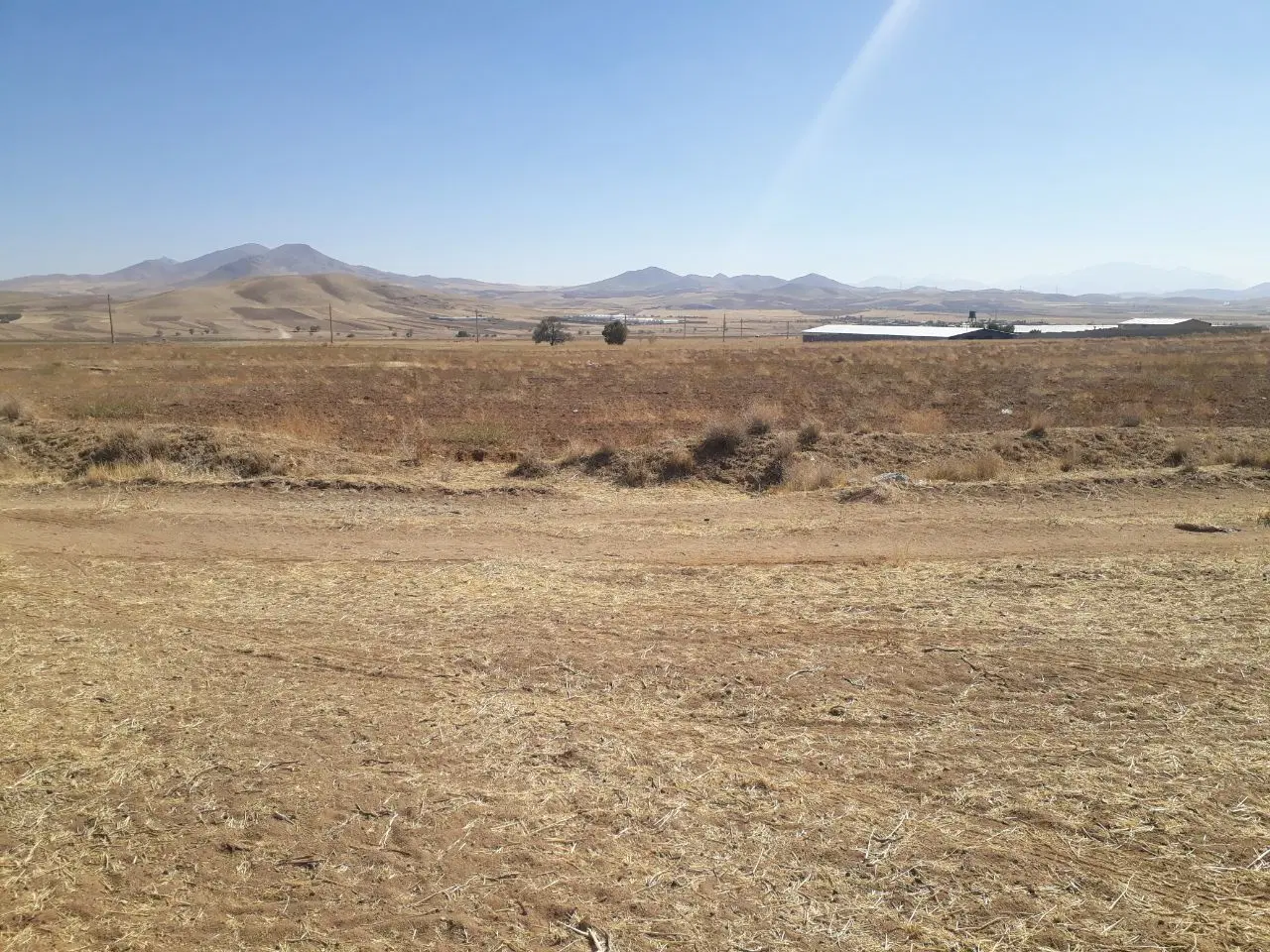 فروش زمین کشاورزی