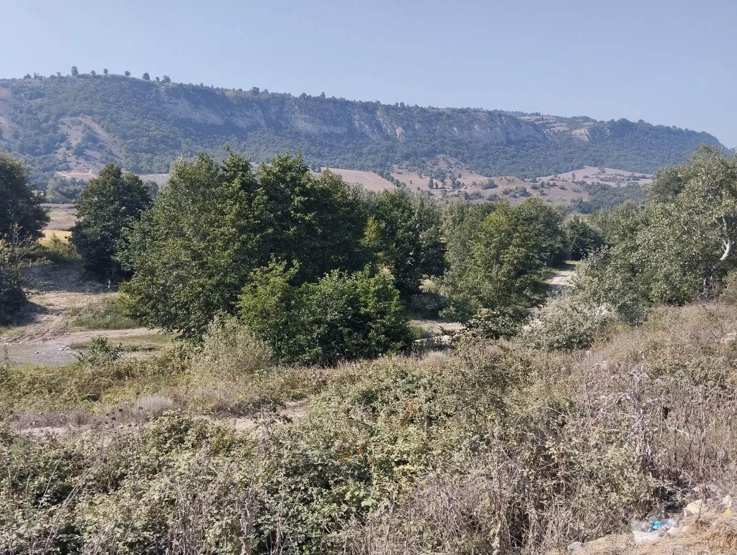 فروش زمین شهرک غرب