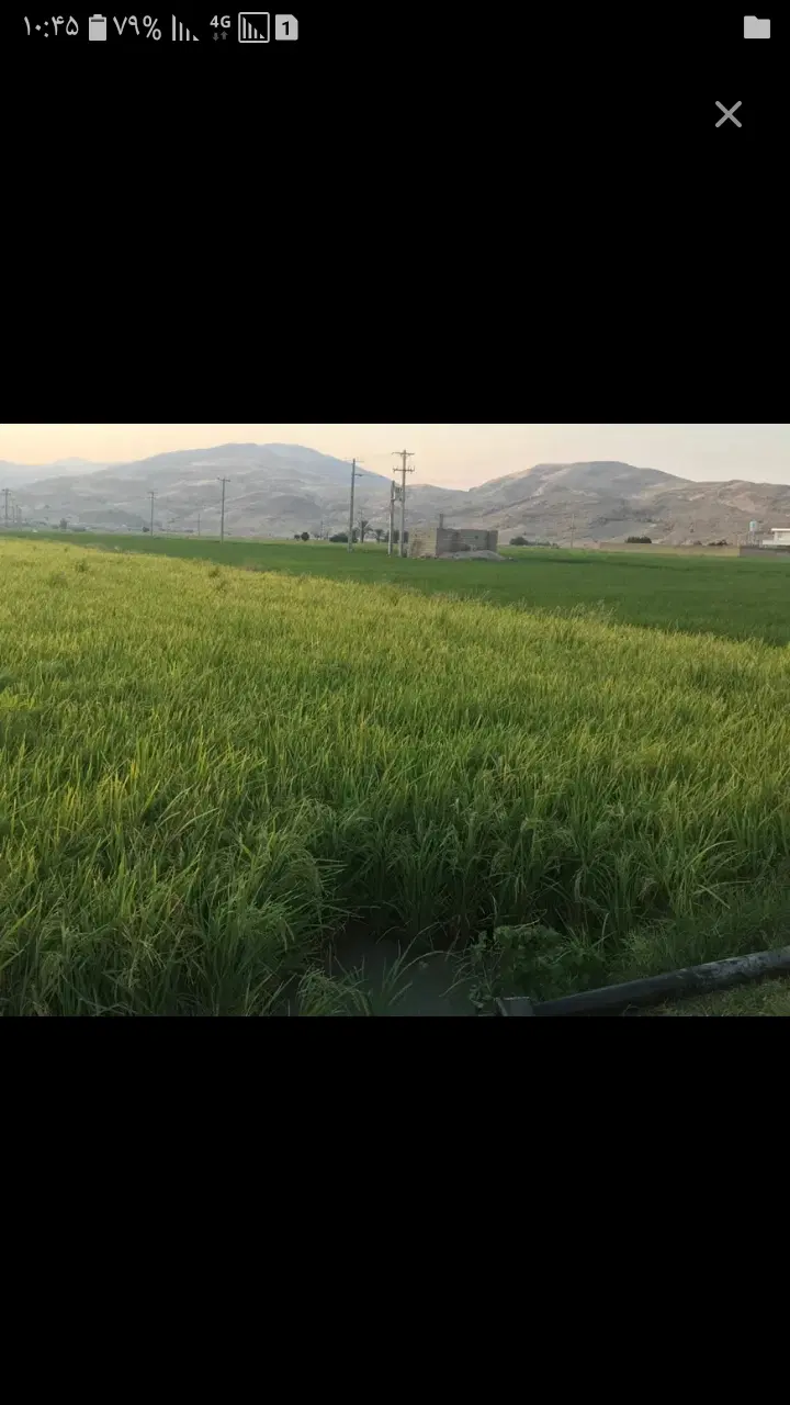 اجاره زمین کشاورزی