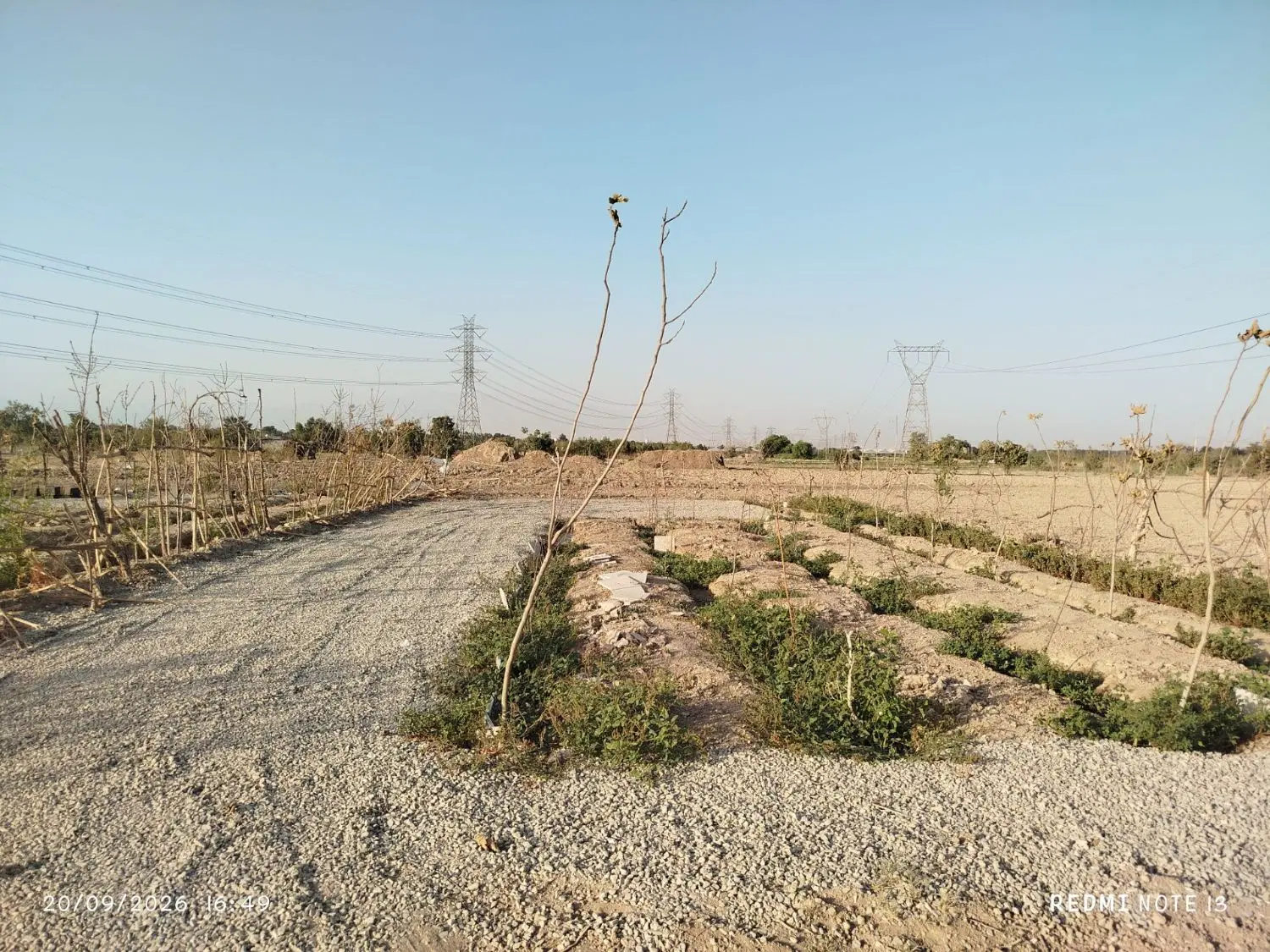 فروش زمین