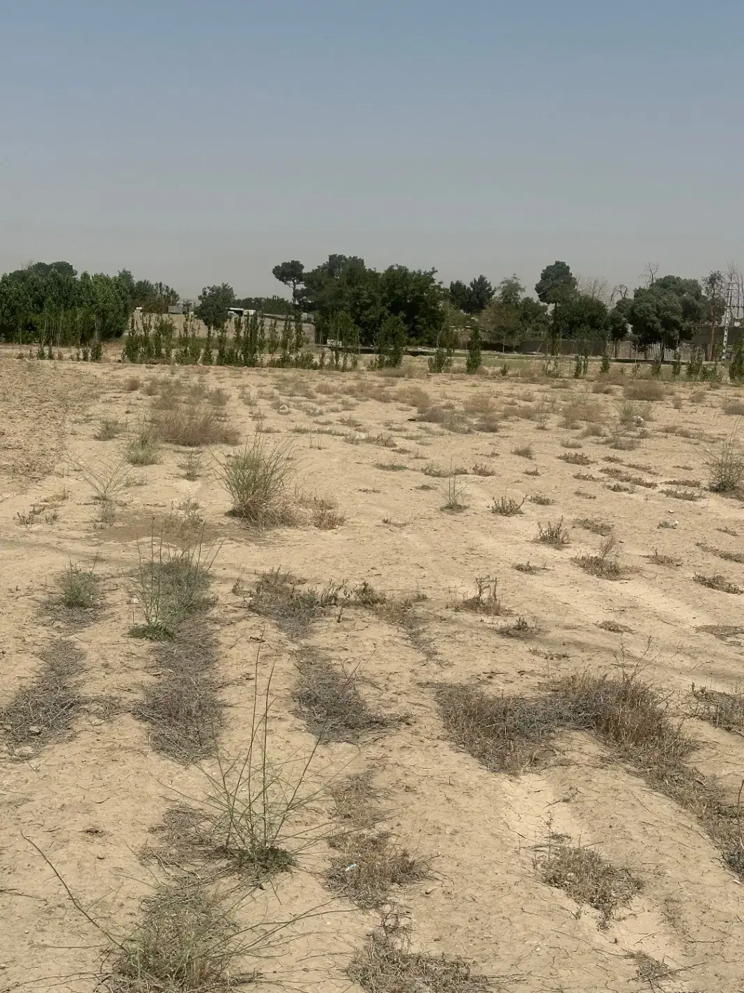 زمین ۴۲۲۵ متری