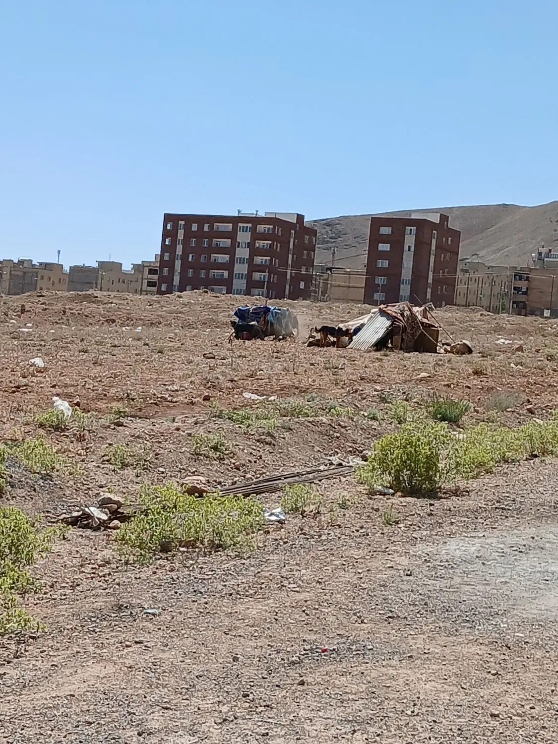 زمین مشاع چسبیده ب جاده اصلی دانشگاه