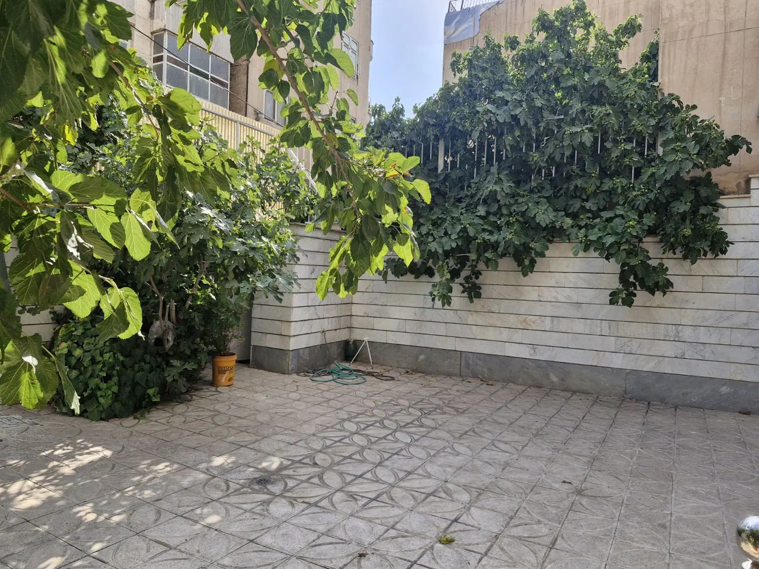 واحد ۵۵ متری نادری شمالی